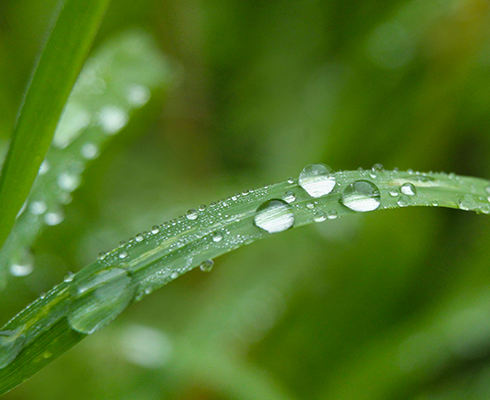 ESG是什麼？解密企業競逐的3大永續指標，鏈結SDGs打造競爭力