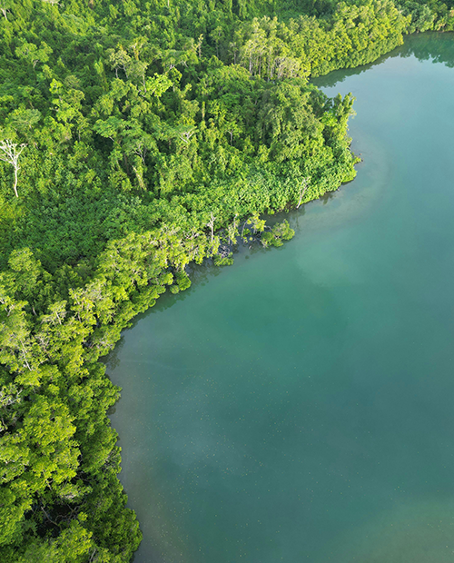 喝什麼水最安全?7 種水型優缺點