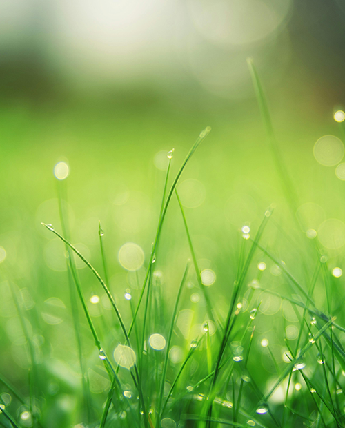 為什麼自來水不能喝?了解台灣自來水的真相