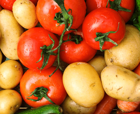 臭氧機原理、功能是什麼？