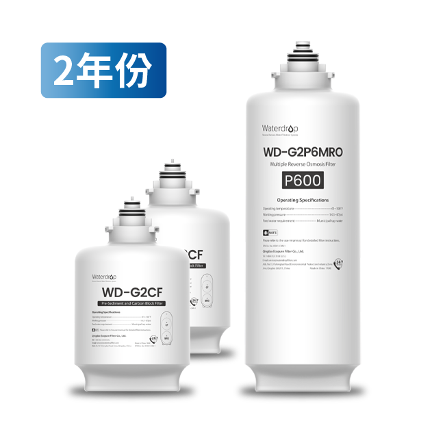 G2 P600 二年份三支濾芯超值組 濾水器淨水設備