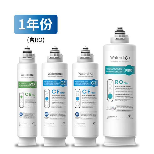 G3 P800一年份四支濾芯超值組(含RO濾芯) 濾水器淨水設備