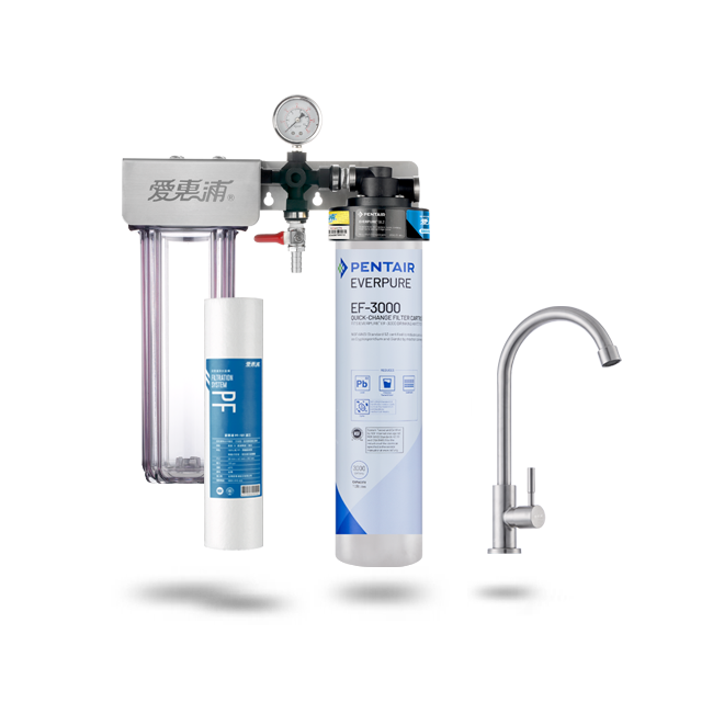 愛惠浦淨水器、濾水器產品 - PurVive-Duo EF3000整合式淨水設備-雙管