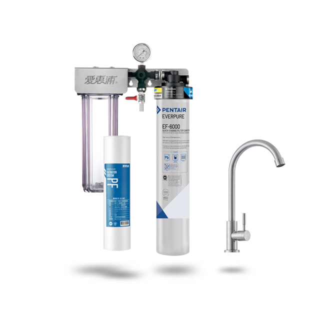 愛惠浦淨水器、濾水器產品 - PurVive Duo-EF6000整合式淨水設備-雙管