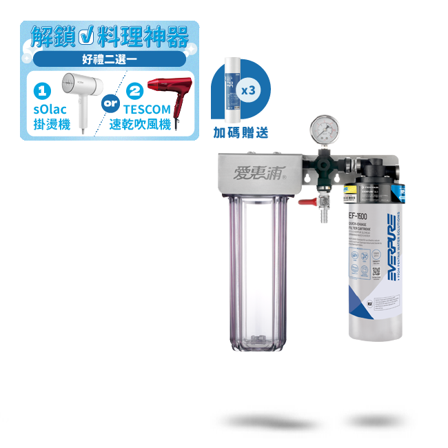 愛惠浦淨水器、濾水器產品 - PurVive Duo-EF1500整合式淨水設備-雙管