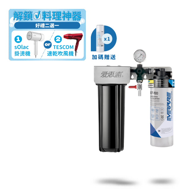 愛惠浦淨水器、濾水器產品 - PurVive Duo-EF1500整合式淨水設備-雙管
