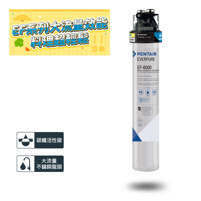 PurVive-EF6000淨水設備 濾水器淨水設備